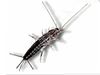 Marietta extermination and control for silverfish